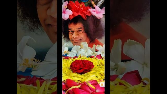 54. Цитаты Аватара - 45 смотреть онлайн