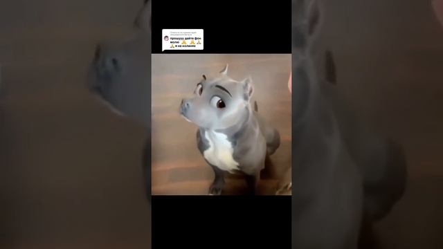 из тиктока #tiktok #tiktokvideo #amongus #geometrydash #minecraft #тикток #тиктоквидео смотреть онлайн