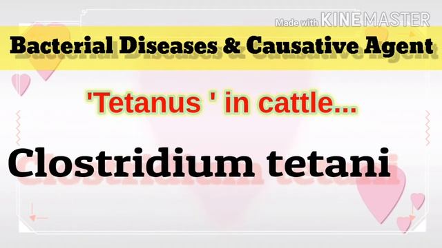 Bacterial diseases /ICAR - VETERINARY MEDICINE/BANKING EXAM / SSC/ UPSC@IAS ANIMAL HUSBANDRY QUESTI смотреть онлайн
