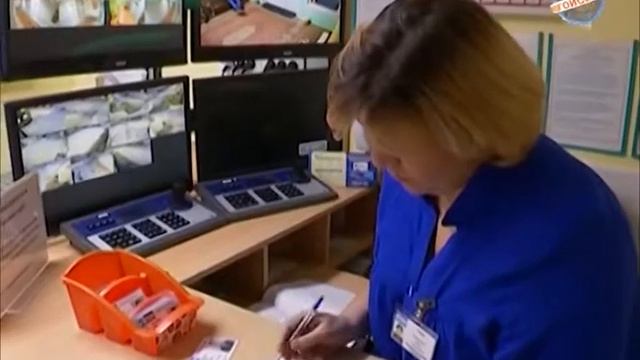 25 октября 2017 смотреть онлайн