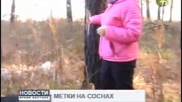 Новости Время местное 2510 023 смотреть онлайн