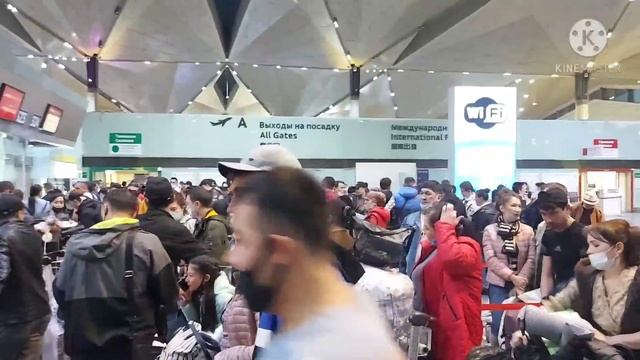 Санкт-Петербург Аэропорт янгиликлар Узбекистана келиш Санкт-Петербург дан кетиш блитлар 89533409690 смотреть онлайн