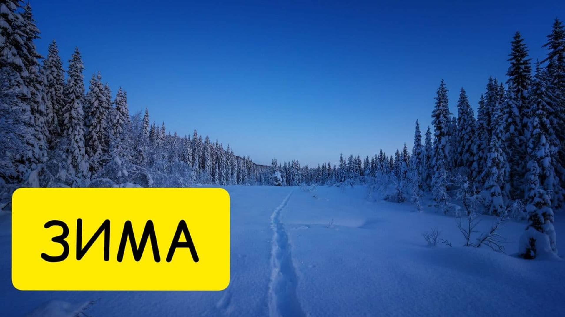 К чему СНИТСЯ ЗИМА или зима во сне. Толкование сна смотреть онлайн