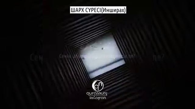 Шарх сүресі смотреть онлайн