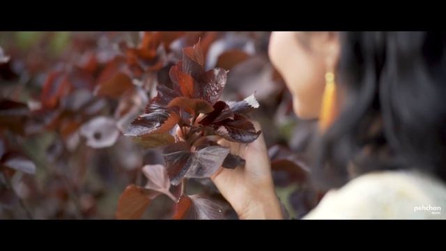 Meri Chunar Udd Udd Jaye - Vishakha Mahore | Latest Cover Song 2021 | Falguni Pathak смотреть онлайн