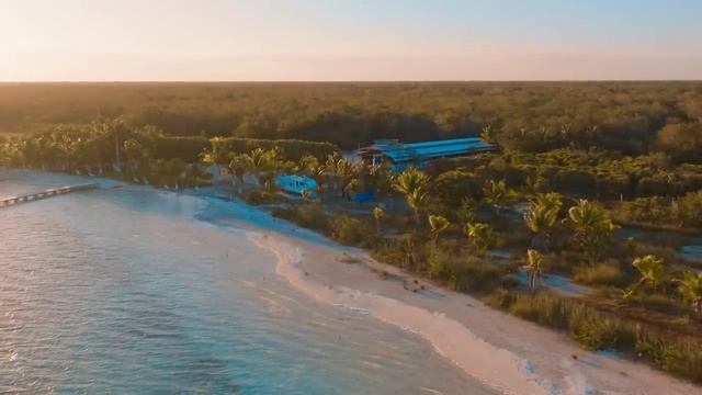 Tulum Paradise - Bossa Nova [Background Video] смотреть онлайн