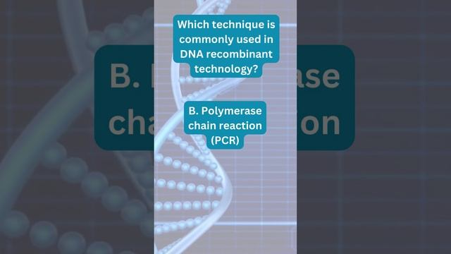 Which technique is commonly used in DNA recombinant technology? смотреть онлайн