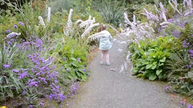 Lilihannas Adventures Ep.1 Kilmacurragh Botanic Gardens 11.08.17 смотреть онлайн