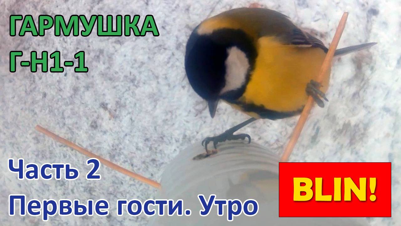 Г-Н1-1 - Первые гости. Утро