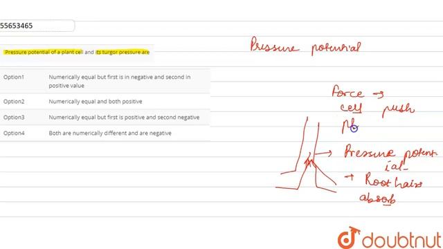 Pressure potential of a plant cell and its turgor pressure are смотреть онлайн