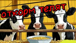 Каша или сухая дробленка? Чем кормить бычков?