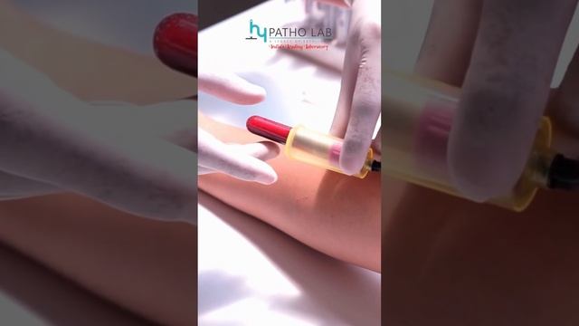 Hy Patho Lab Pathology смотреть онлайн