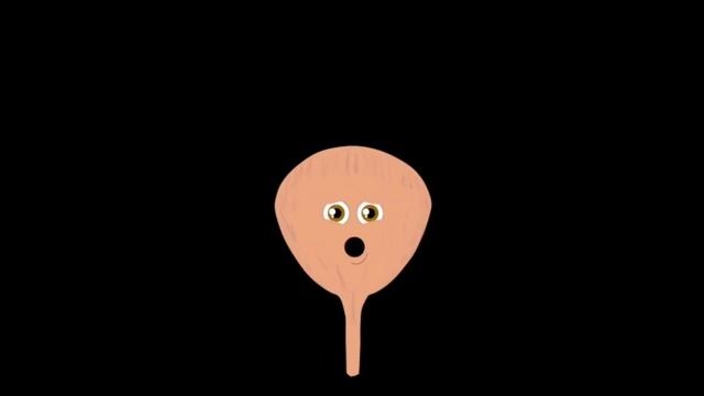 I Am YOUR Bladder! | The Bladder Song | KLT Anatomy