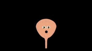 I am YOUR Bladder! | The Bladder Song | KLT Anatomy