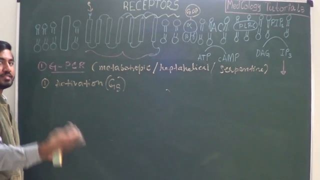 G-Protein Coupled Receptor I Signal Transduction I Receptor Pharmacology. смотреть онлайн