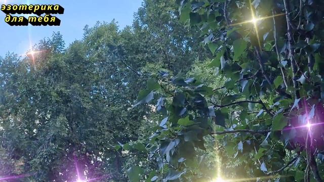 Стригите ногти в эти дни недели и у Вас денег всегда будет много. Когда можно и нельзя стричь ногти