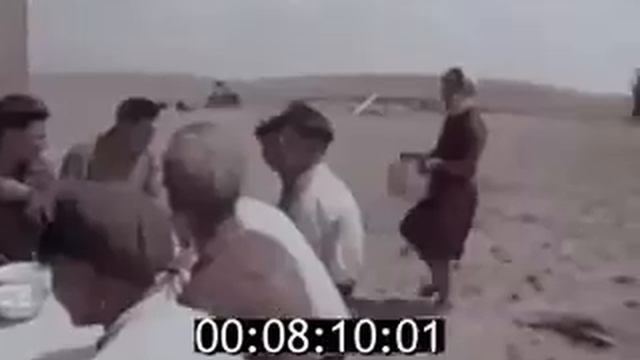 1960г Каждый четвёртый костюм в стране сшит из шерсти калмыцких овец, и другие достижения республик смотреть онлайн