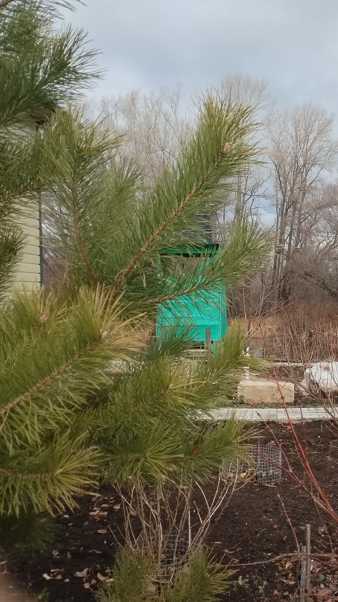 Стишок-осени глоток смотреть онлайн