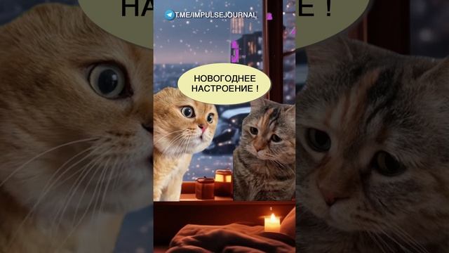 Черная пятница #мыкотики #вмем #разговор #анекдот #шутки #кот #юмор #смешное #прикольно #мемы #cat смотреть онлайн