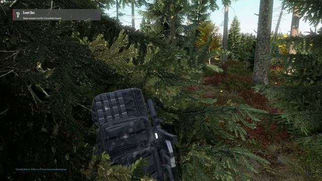 DAYZ. Сервер BadBoys после вайпа