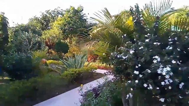 Sreemangal Resort, Lemon Garden смотреть онлайн