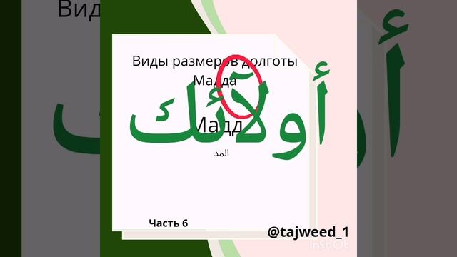 виды размеров долготы мадда смотреть онлайн