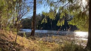 ПОРА УГОМОНИТЬ ОБОРЗЕВШУЮ СВЕКРОВЬ... | Истории из жизни.