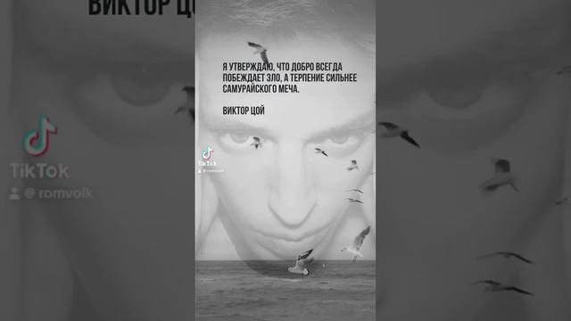 ТЕРПЕНИЕ #добро #зло #терпение #викторцой смотреть онлайн