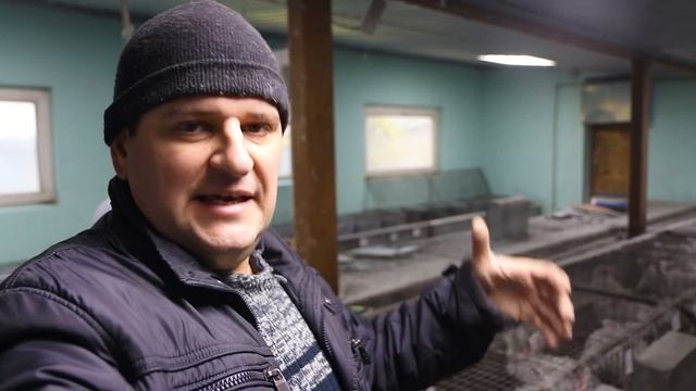 КАСТРАЦИЯ, САМКА НЕ КОРМИТ, РЕМОНТ! смотреть онлайн