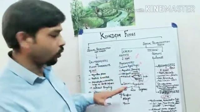 CLASS 11 BIOLOGY CHAPTER 2 KINGDOM FUNGI (SUMMARY) смотреть онлайн
