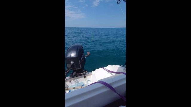 Трофейная рыбалка в Сочи, монстры не дают покоя смотреть онлайн