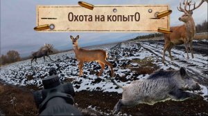 2 косули с одного выхода! Загонная охота на копыто в Самарской области!