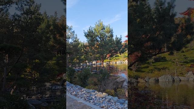 Японский сад Краснодар / Зеркальный пруд Кагамиикэ осенью смотреть онлайн