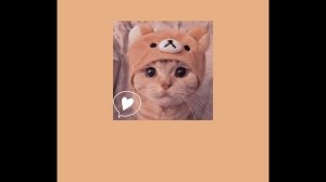 (｡♡‿♡｡)Музыка для учёбы (｡♡‿♡｡)