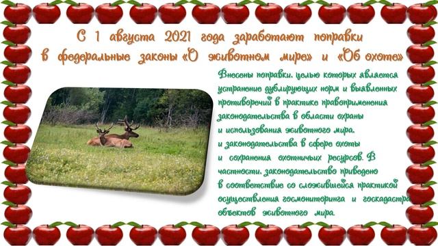 Изменения российского законодательства с августа 2021 года смотреть онлайн