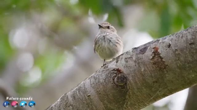 СБОРНИК Volume  на полную!