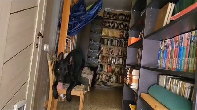 Шерлок   для Pesiq  задание 1