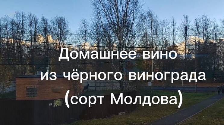 Домашнее вино из черного винограда (сорт Молдова). Пошаговый рецепт. смотреть онлайн