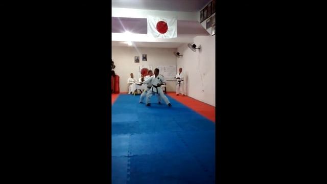 Exame De Faixa Preta 1º Dan (Hélder Menezes) 11/12/2015. смотреть онлайн