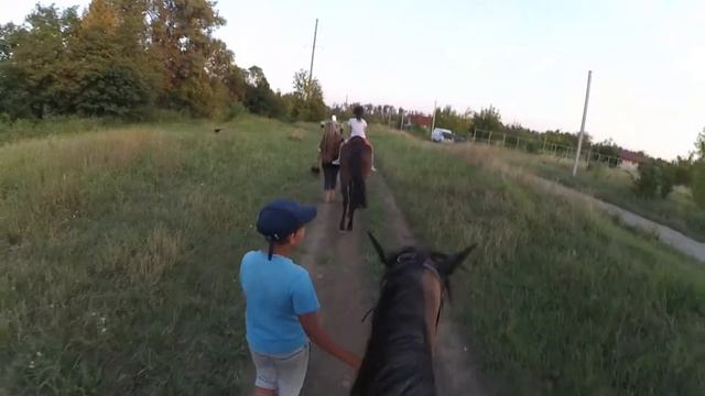 КОННЫЕ ПРОГУЛКИ РАНЧО КРАСНОДАР смотреть онлайн