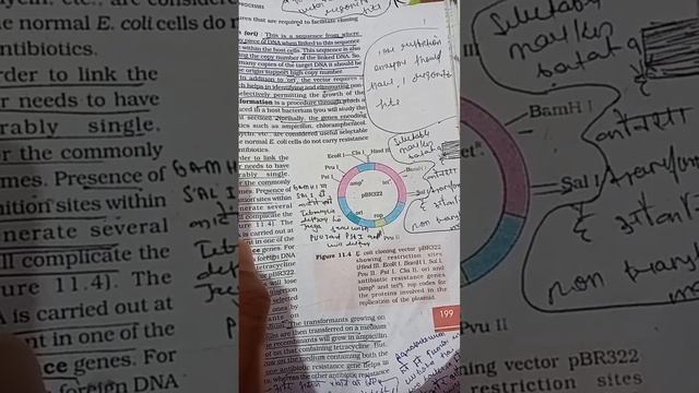 biotechnology class 12 |cloning vector #cbse #exam смотреть онлайн