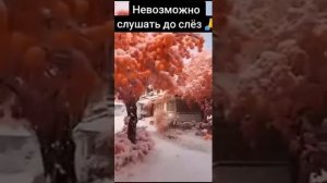 Правильные слова.