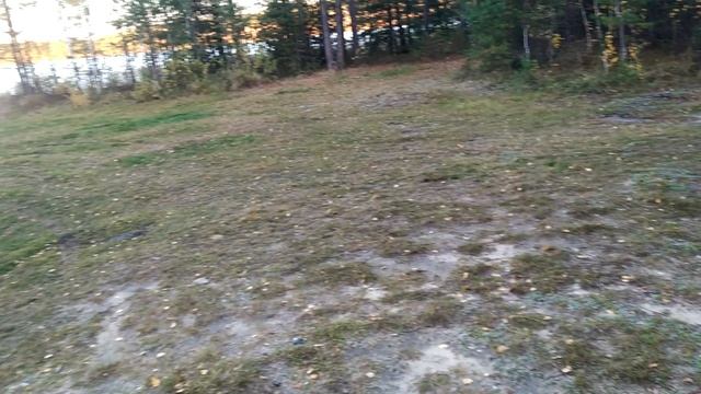 VID_20241002_075629.mp4 смотреть онлайн