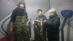 Зимняя рыбалка со школьниками ловим налимов на стукалке.