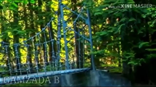 Ё Расулаллох аз хама кас бехтарини