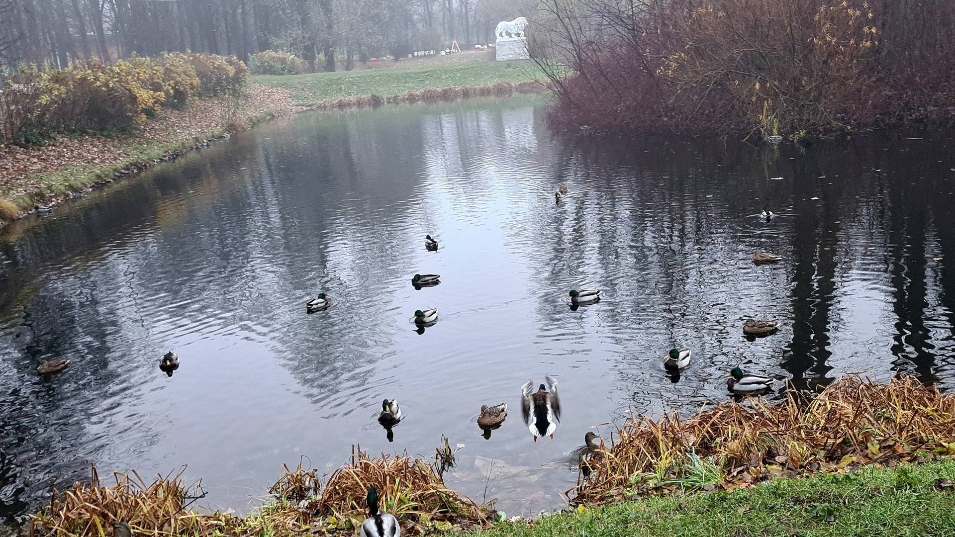 Санкт-Петербург. Парк Победы. Трофейная техника НАТО. смотреть онлайн