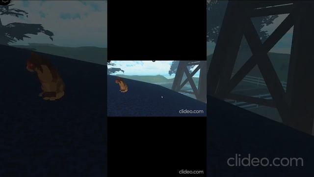 Да да #shorts #WCUE #robux