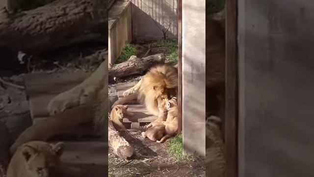 ❦СветЛ@н@❦