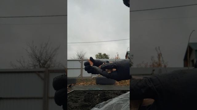 Сажаю чеснок.