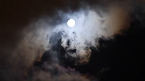 Thy Catafalque - Balra a Nap (fanmade video, lyrics + перевод)